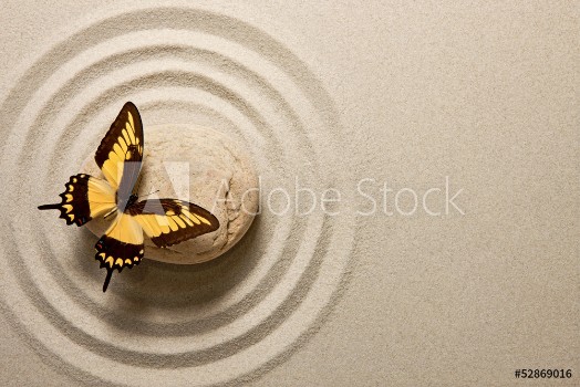 Picture of Zen stone with butterfly